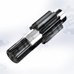 N377016 - PINHAO RED. Z10